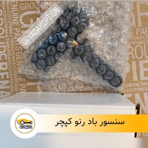 سنسور باد رنو کپچر