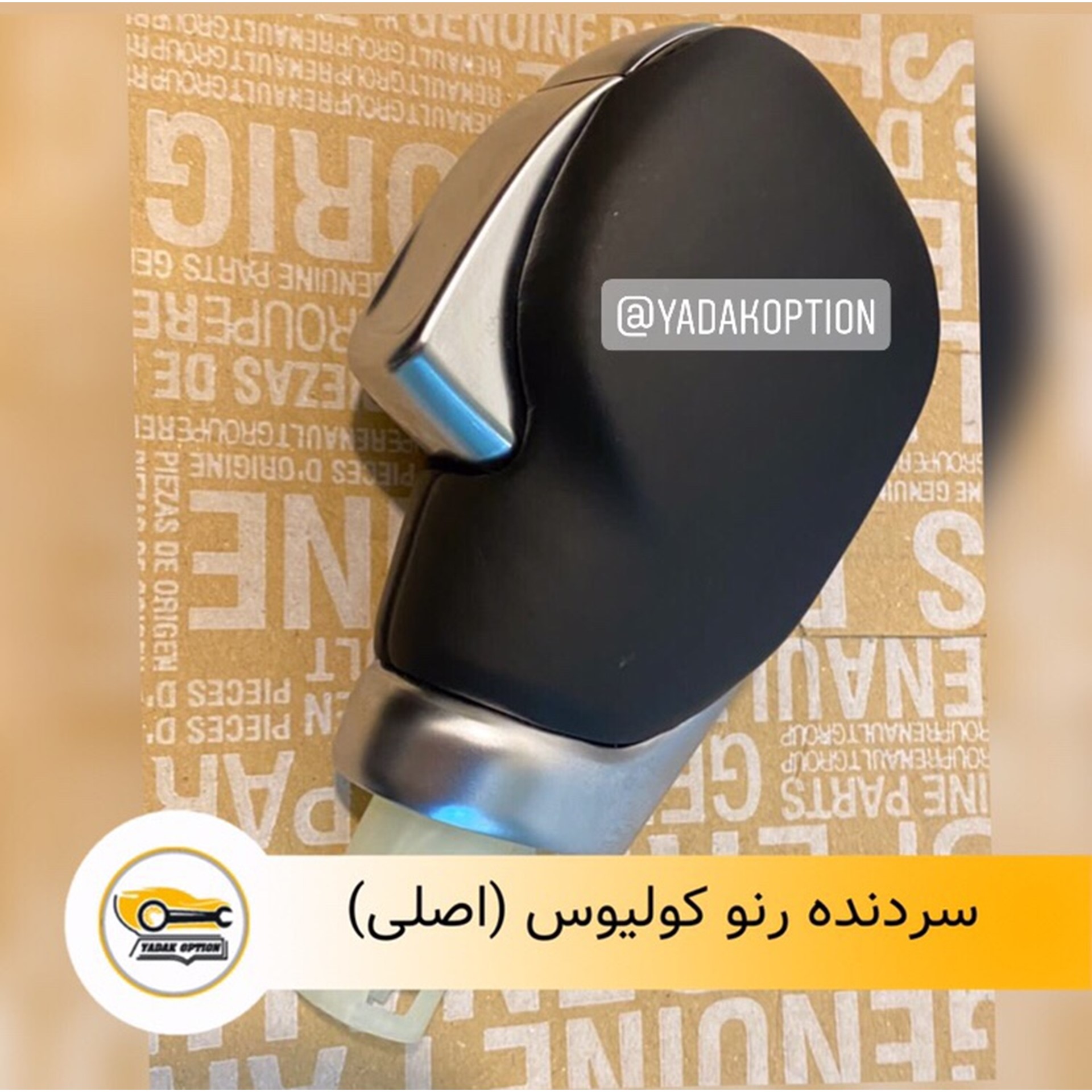 سر دنده رنو کولیوس اصلی