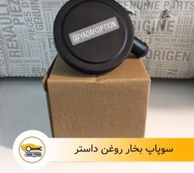 دسته موتور شاتونی داستر
