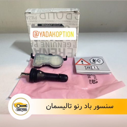 سنسور باد رنو تالیسمان