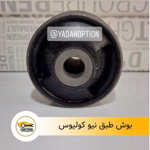 بوش طبق رنو کولیوس