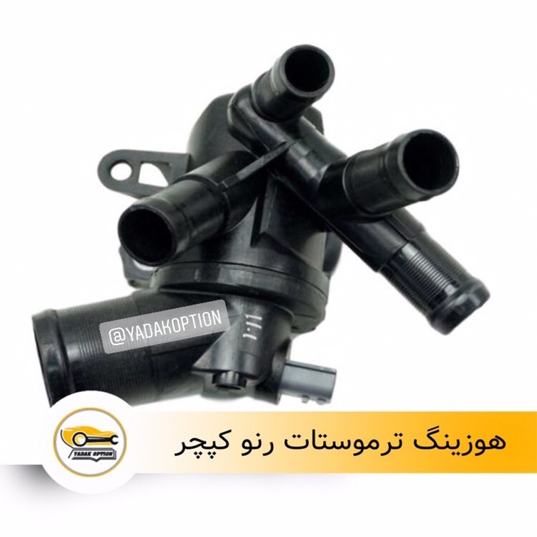 هوزینگ ترموستات رنو کپچر