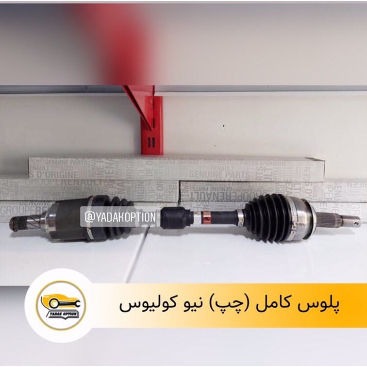 پلوس چپ رنو کولیوس