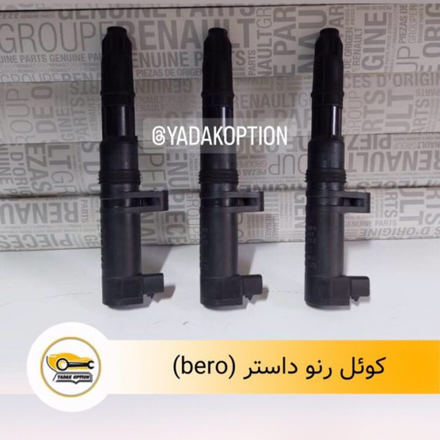 کوئل رنو داستر