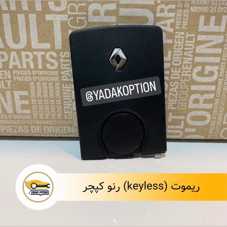 ریموت کیلس رنو کپچر