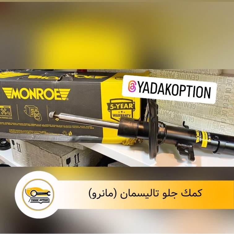 کمک جلو تالیسمان مانرو