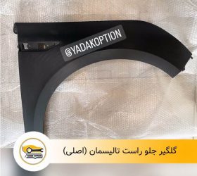 گلگیر جلو رنو داستر