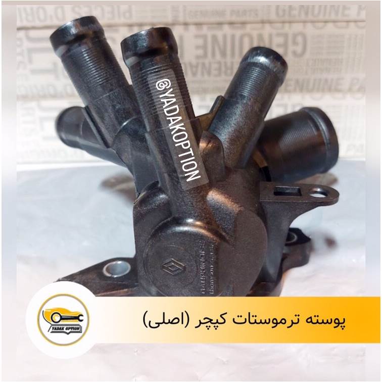 پوسته ترموستات رنو کپچر