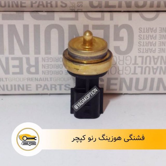 فشنگی هوزینگ رنو کپچر