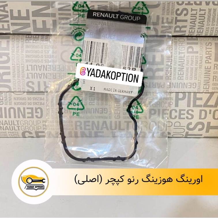اورینگ هوزینگ رنو کپچر
