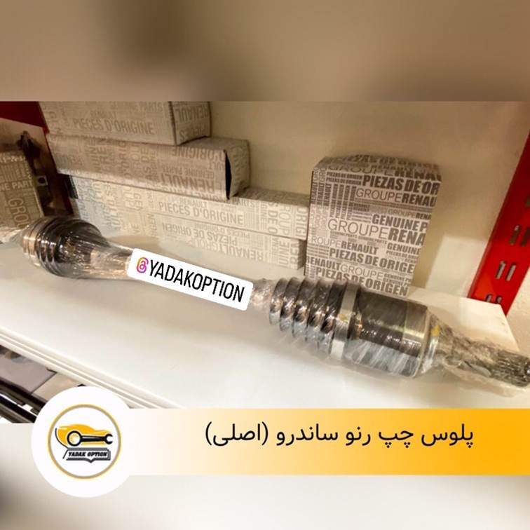 پلوس چپ رنو ساندرو