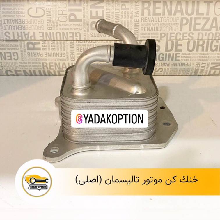 خنک کن موتور رنو تالیسمان