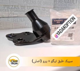 سیبک طبق رنو سفران