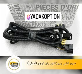 کنیستر بنزین رنو کپچر