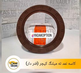 کاسه نمد توربین داستر
