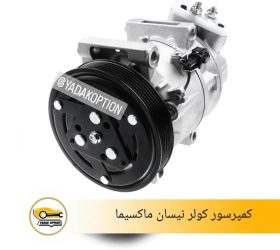 کمپرسور کولر استپ وی