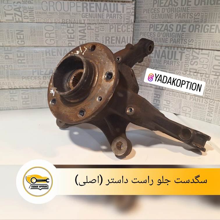 سگدست جلو راست داستر