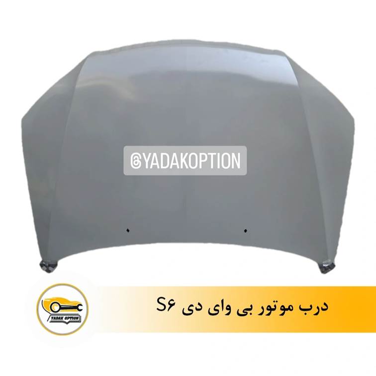 درب موتور بی وای دی S6