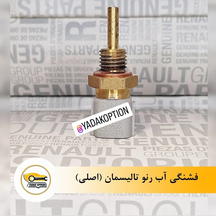 فشنگی آب رنو تالیسمان - تصویر 3