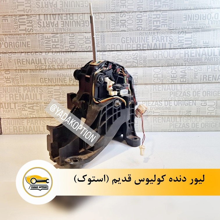 لیور دنده کولیوس قدیم - تصویر 3