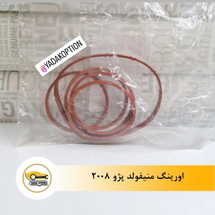 اورینگ منیفولد پژو 2008 - تصویر 3